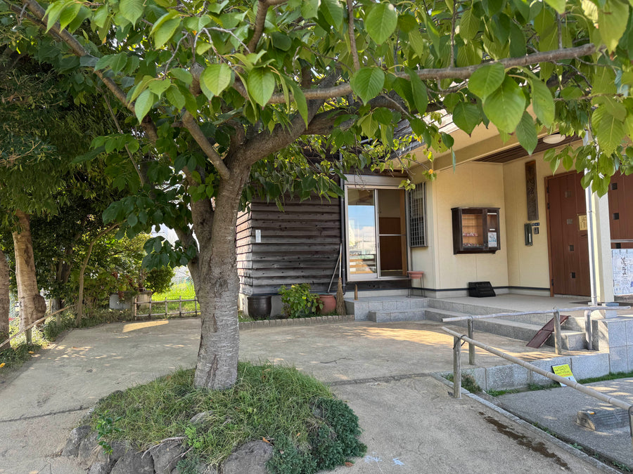鵠沼海岸 幸心館道場 (1/2)